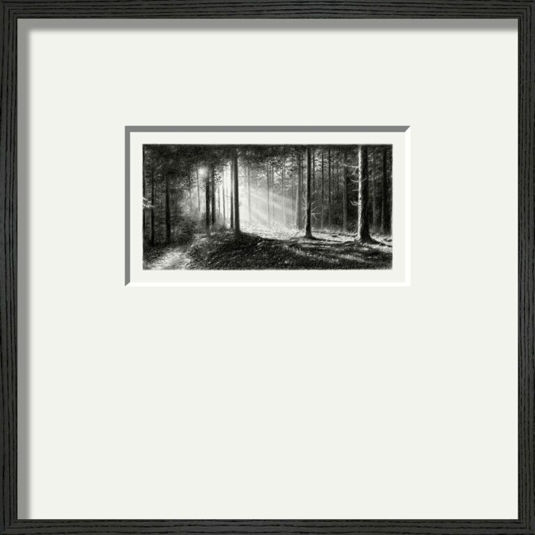 2023/3 (Wald / Licht) - Peter Wels 