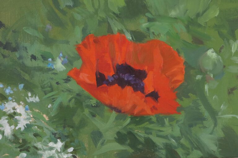 Heller Mohn - Till Warwas 