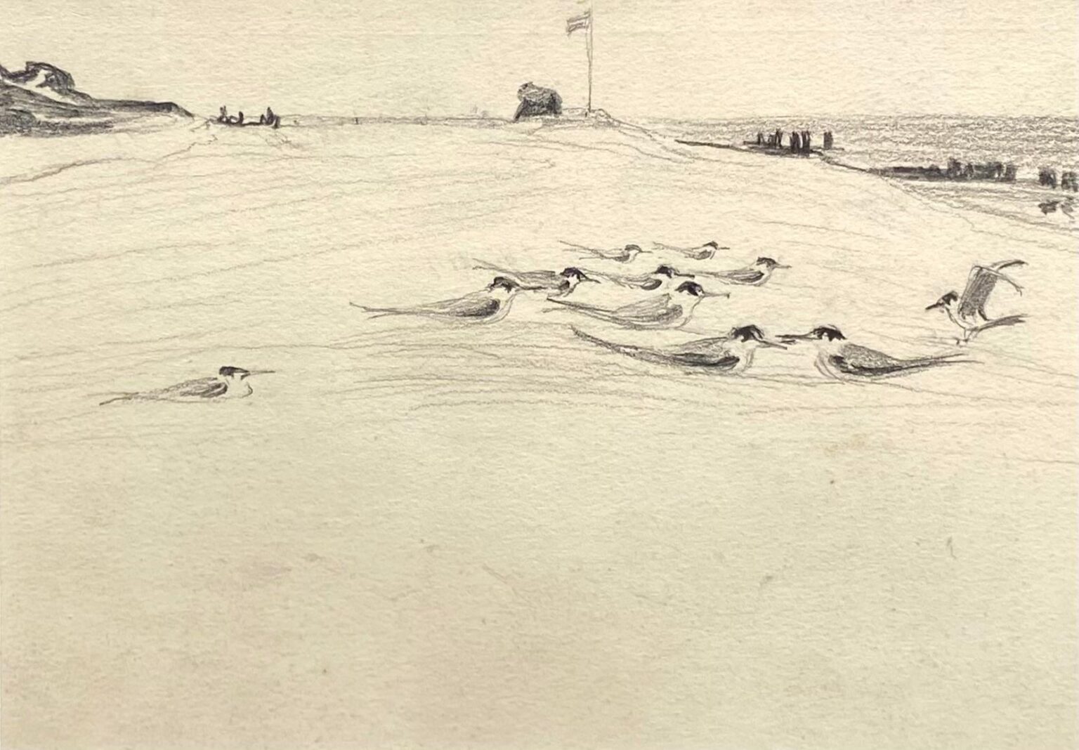 Strandlandschaft mit Möwen - Helene Varges 
