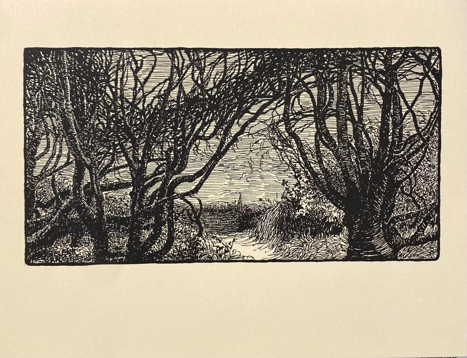 Verästelungen in Keitum auf Sylt - Helene Varges 