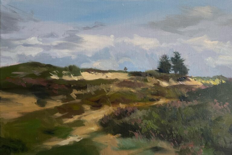 Heidelandschaft Sylt (bei Morsum) - Till Warwas 