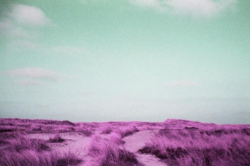 W&uuml;stenland - Ramona Czygan 