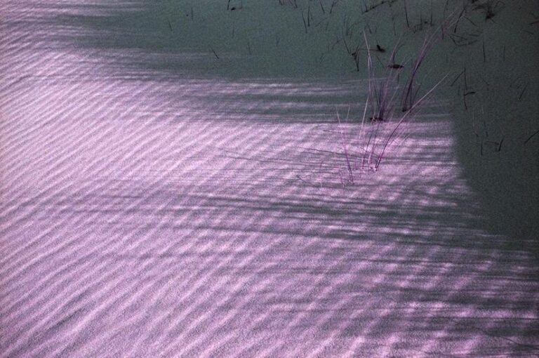 Schattentauchen - Ramona Czygan 