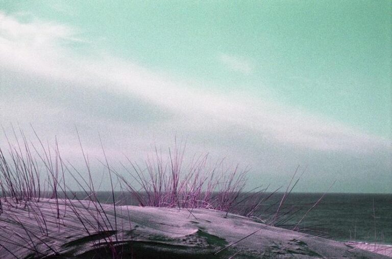 Über die Nähe - Ramona Czygan 