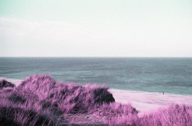 To the moon and back 