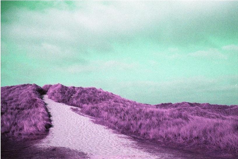 Weg nach oben - Ramona Czygan 