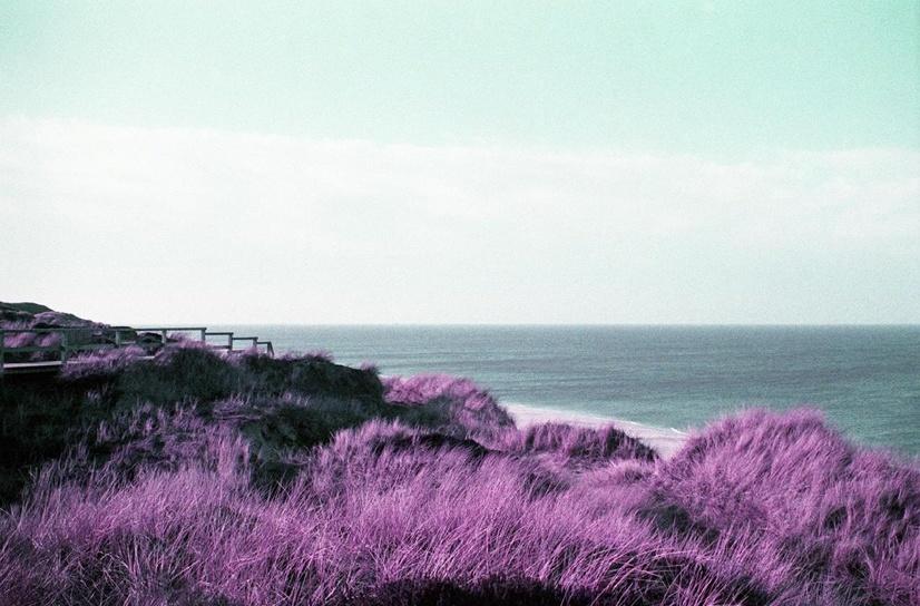 Vorfreude - Ramona Czygan 