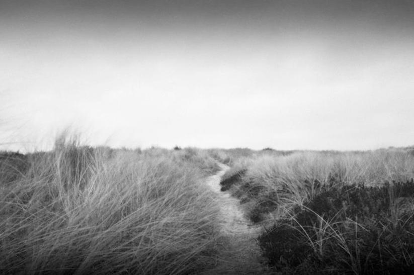 Windige Stille - Ramona Czygan 