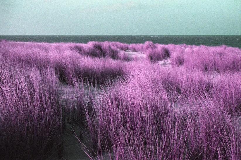 D&uuml;nenmeer - Ramona Czygan 