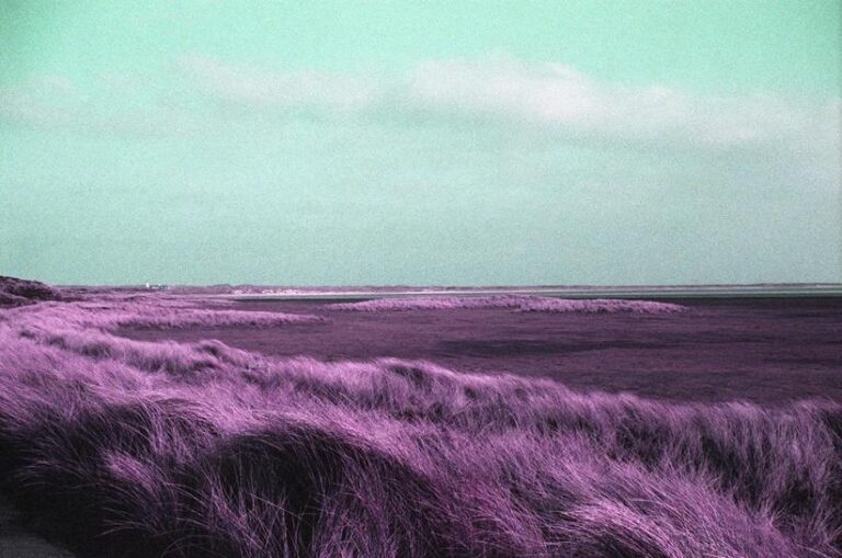 Weiche Wiesen - Ramona Czygan 