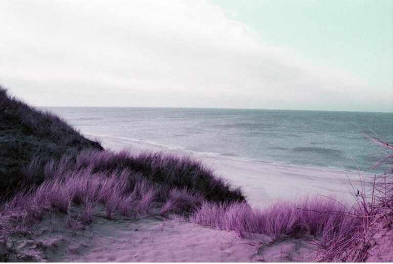 Blick von oben - Ramona Czygan 