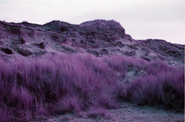 Berg in Violet - Ramona Czygan 