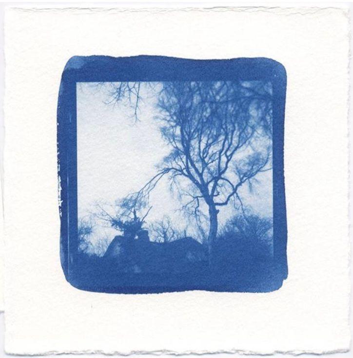 Birke und Katen - Ramona Czygan 