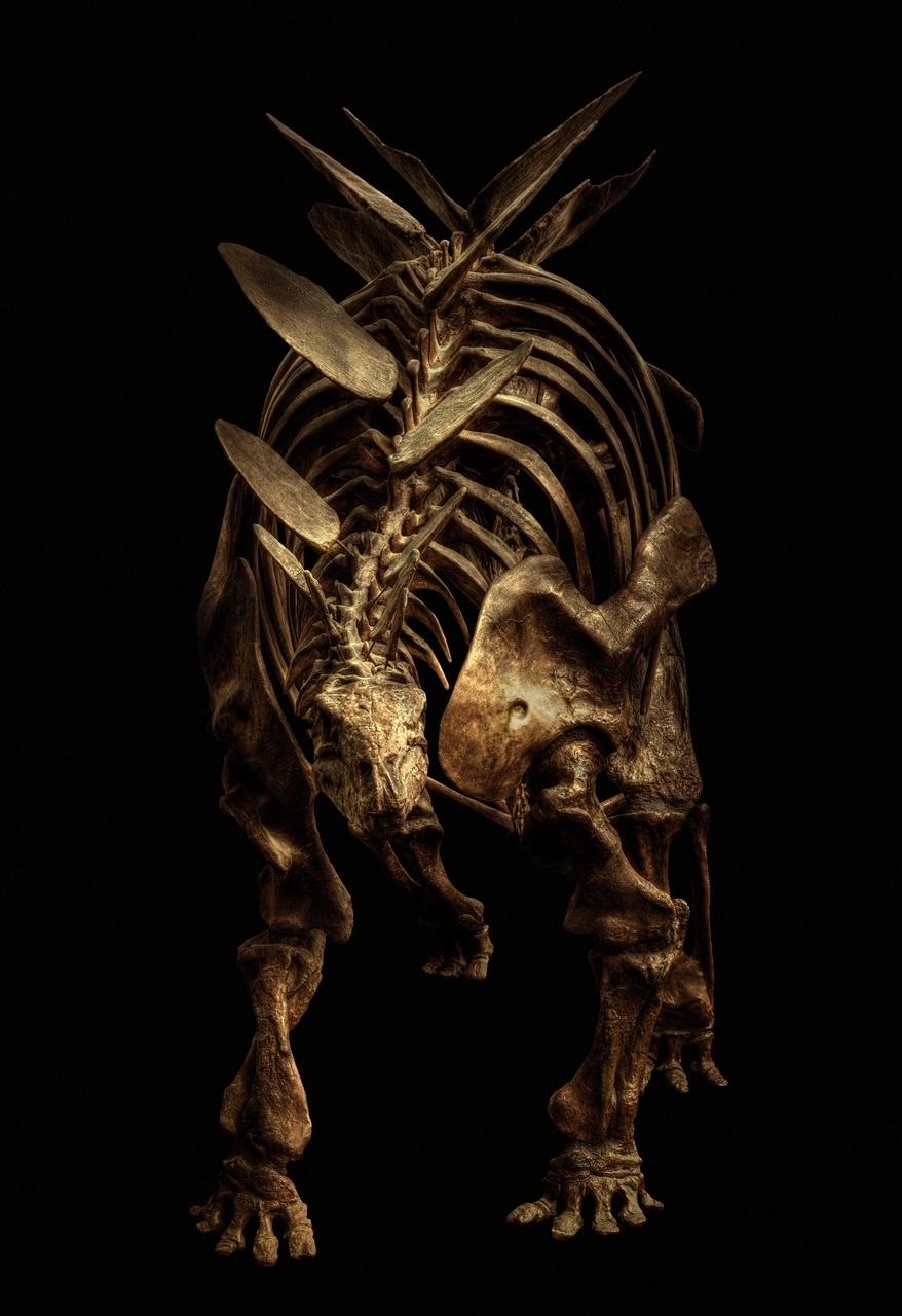 Stegosaurus - Christian Voigt 