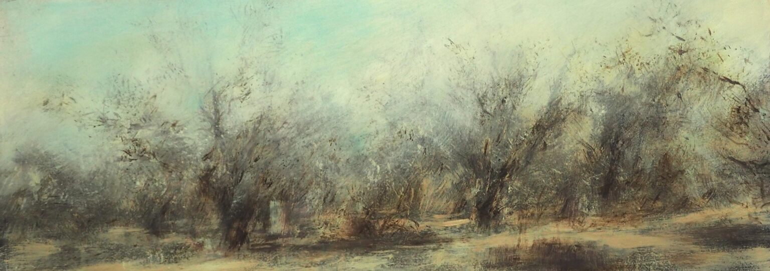 Olivenhain (La Commenda) - Claudia Berg 