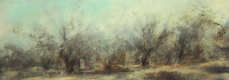 Olivenhain (La Commenda) - Claudia Berg 