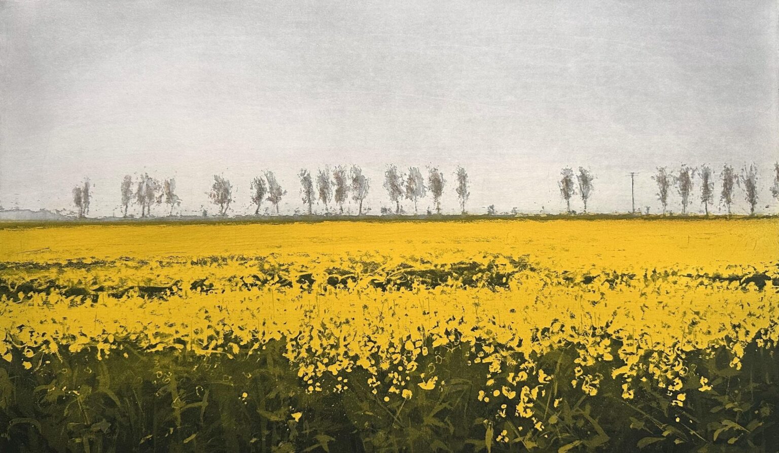 Raps vor Allee - Friedel Anderson 