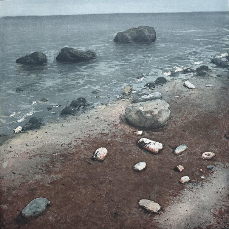 Steine Seegras - Friedel Anderson 