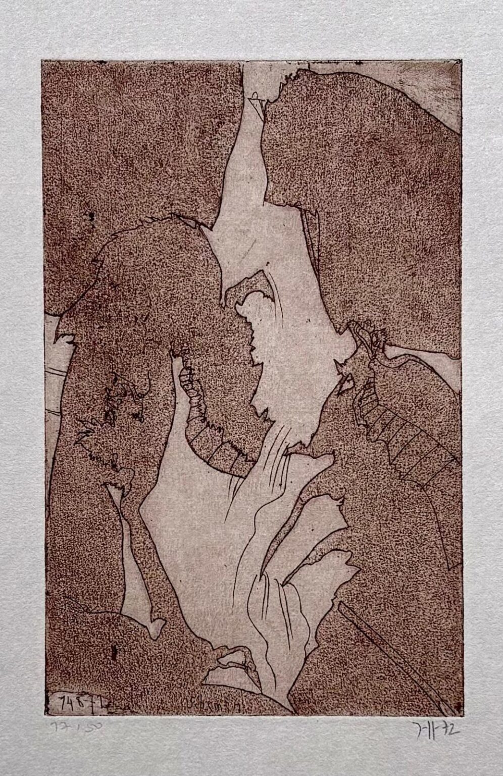 Schemen - Horst Janssen 