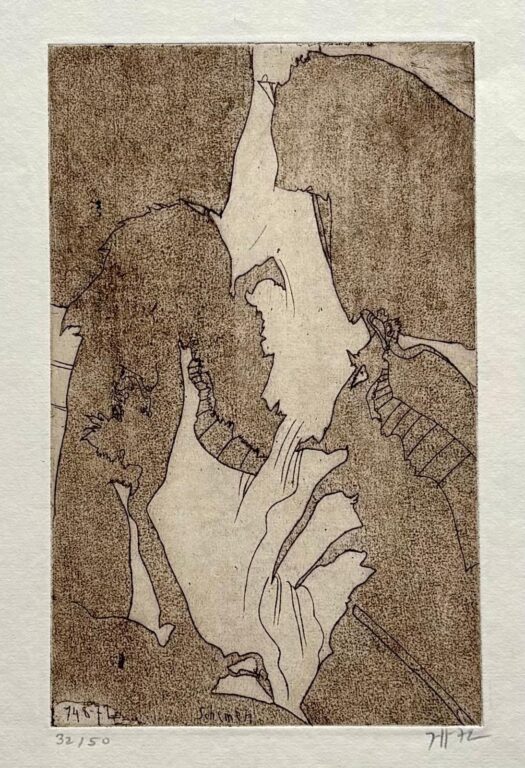 Schemen - Horst Janssen 