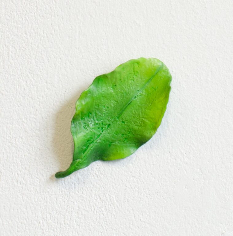 Zitronenblatt - Isabel Ritter 