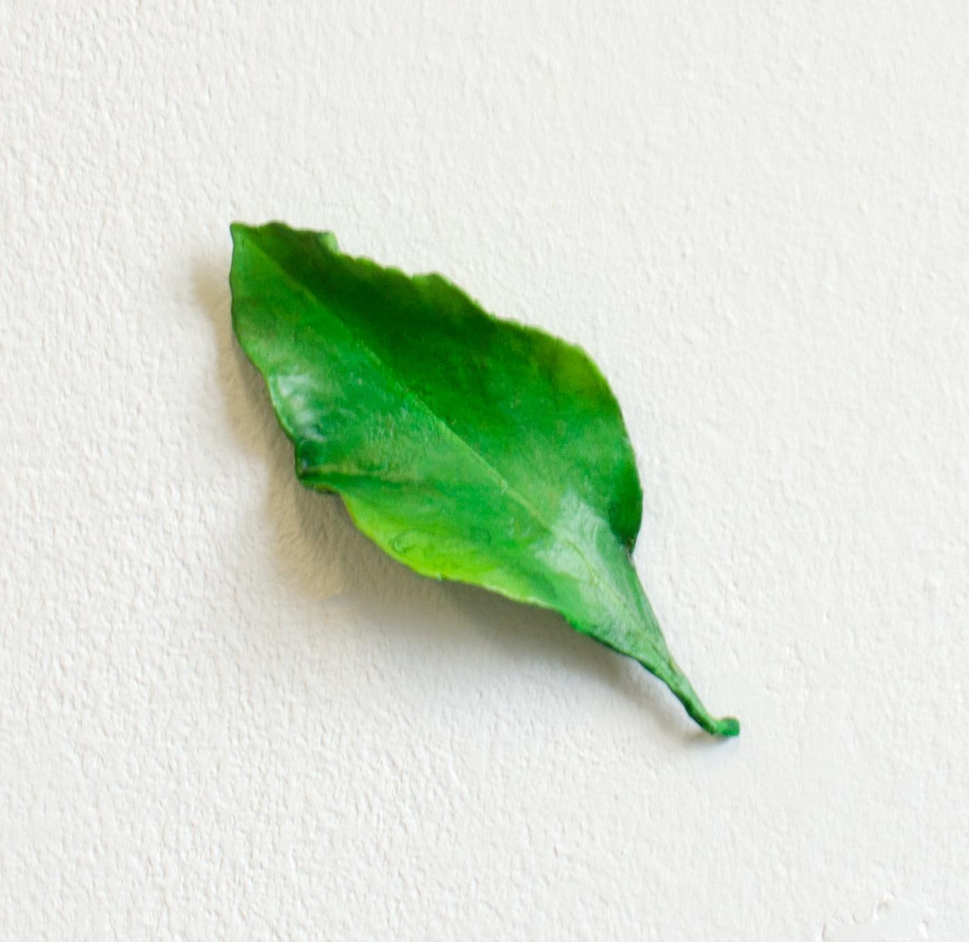 Zitronenblatt - Isabel Ritter 