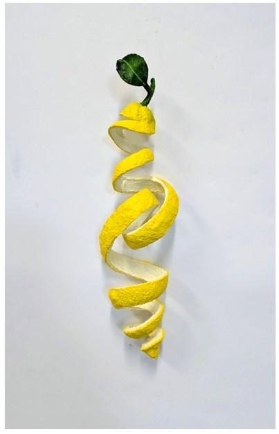 CURLY LEMON N°40 - Isabel Ritter 