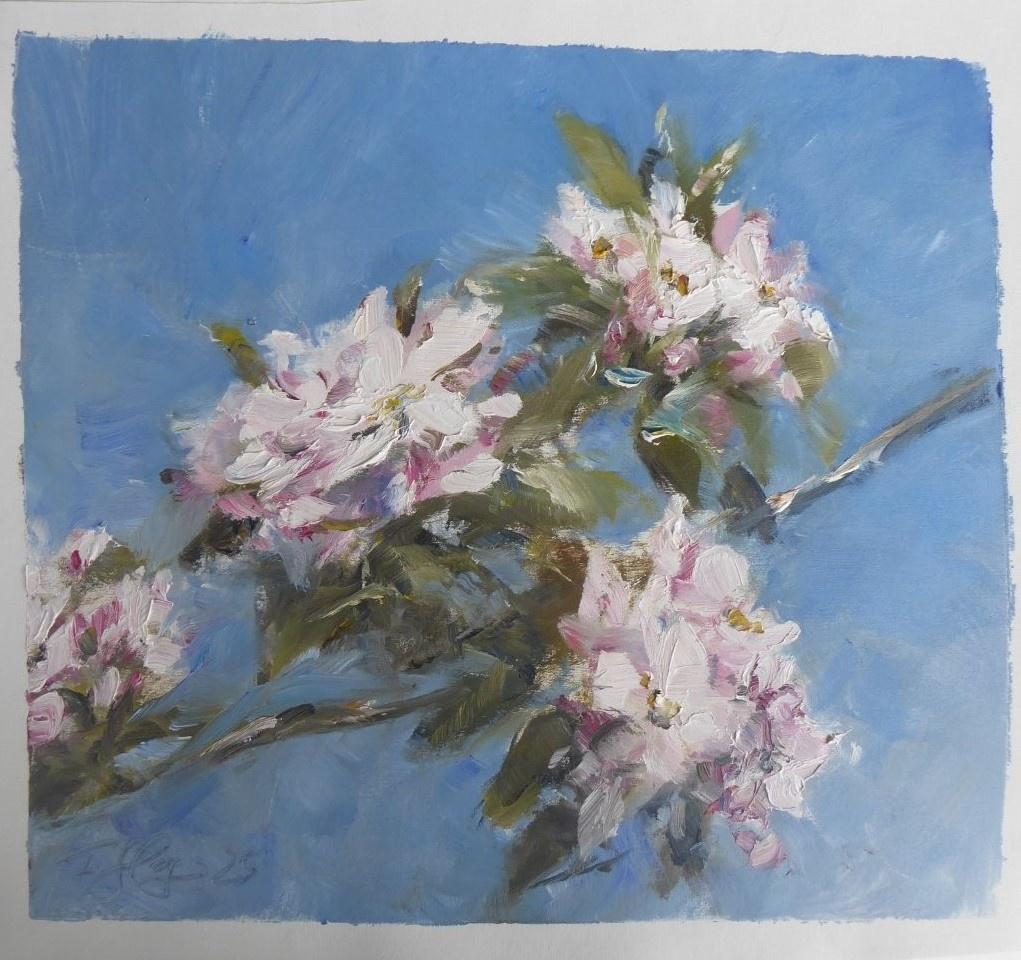 Apfelbl&uuml;te - Frauke Gloyer 