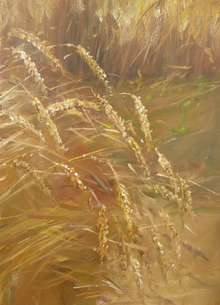 Am Weizenfeld - Frauke Gloyer 