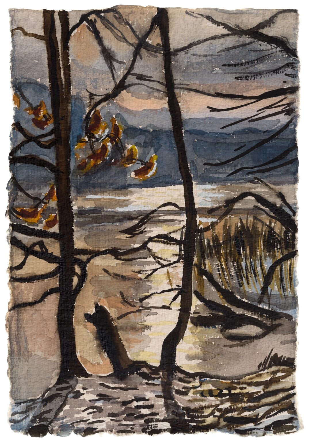 Winterlicht an der Krummen Lanke - Christopher Lehmpfuhl 