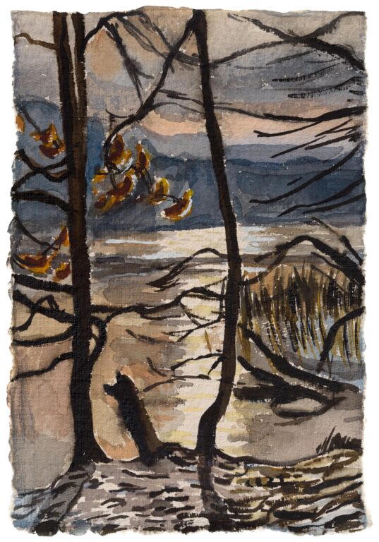 Winterlicht an der Krummen Lanke - Christopher Lehmpfuhl 