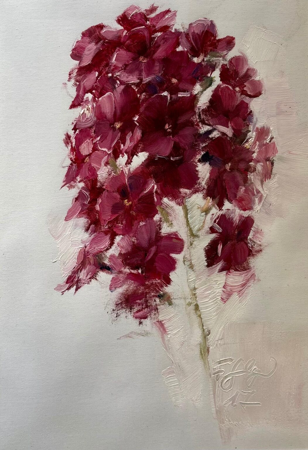 Phlox - Frauke Gloyer 