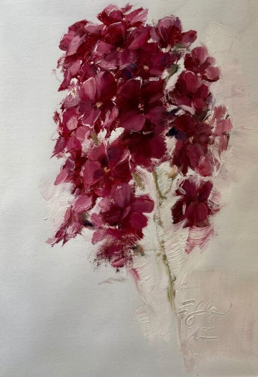 Phlox - Frauke Gloyer 