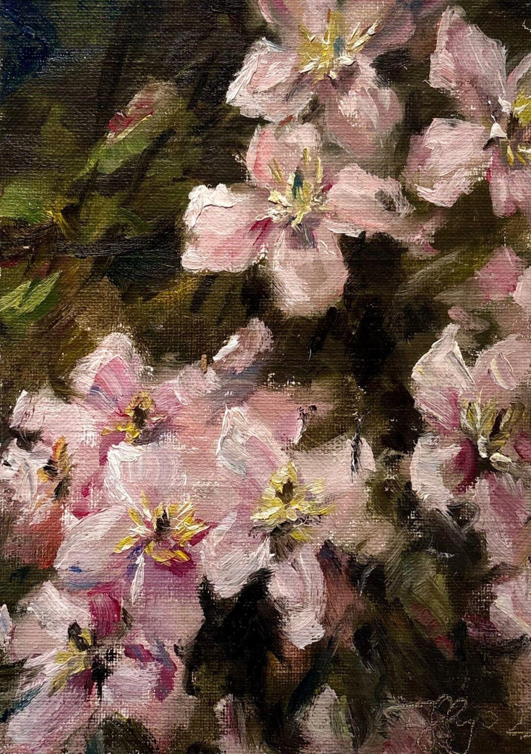 Clematis - Frauke Gloyer 