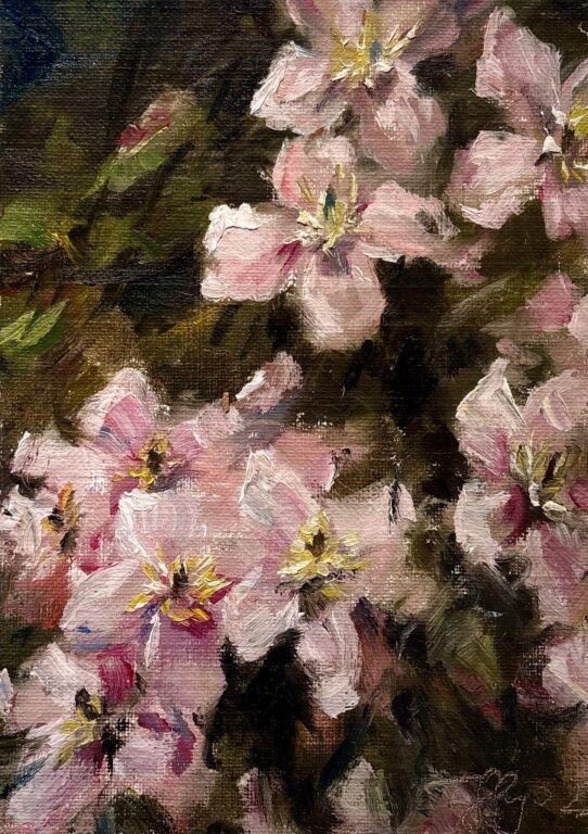 Clematis - Frauke Gloyer 