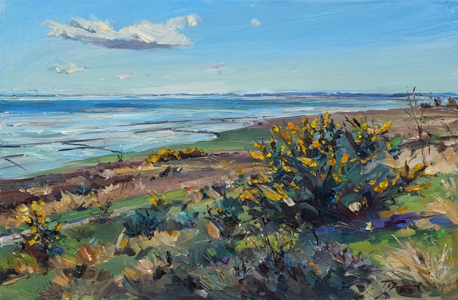 Wattblick Braderupper Heide - Tobias Duwe 