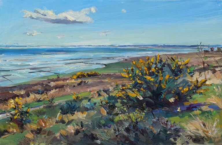 Wattblick Braderupper Heide - Tobias Duwe 