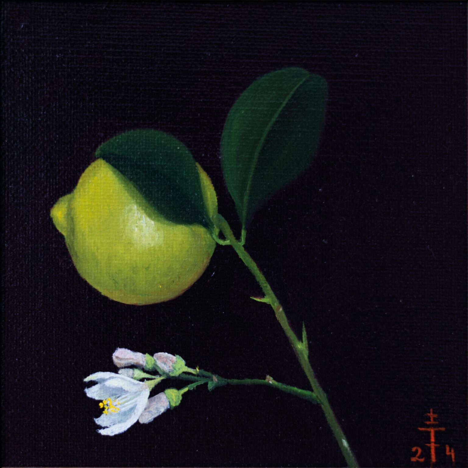 Zitronenzweig - Feodora Hohenlohe 