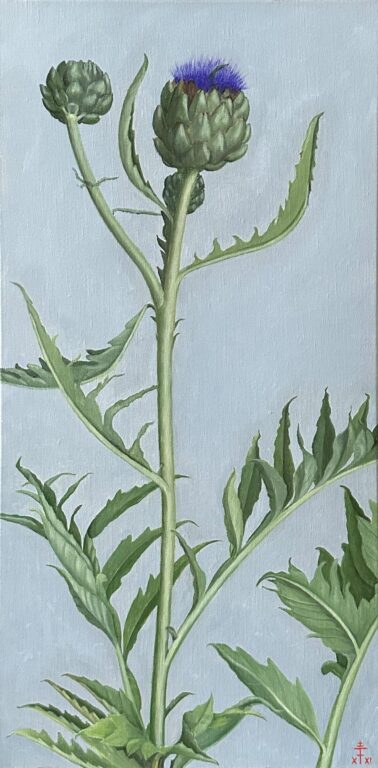 Blühende Artischocke - Feodora Hohenlohe 