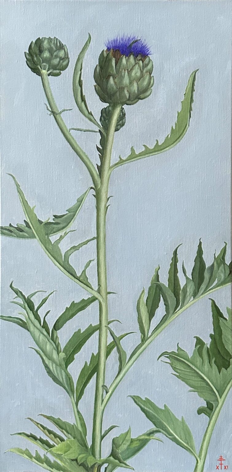 Bl&uuml;hende Artischocke - Feodora Hohenlohe 
