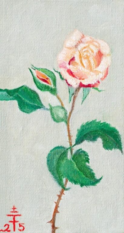 Kleine Gartenrose - Feodora Hohenlohe 