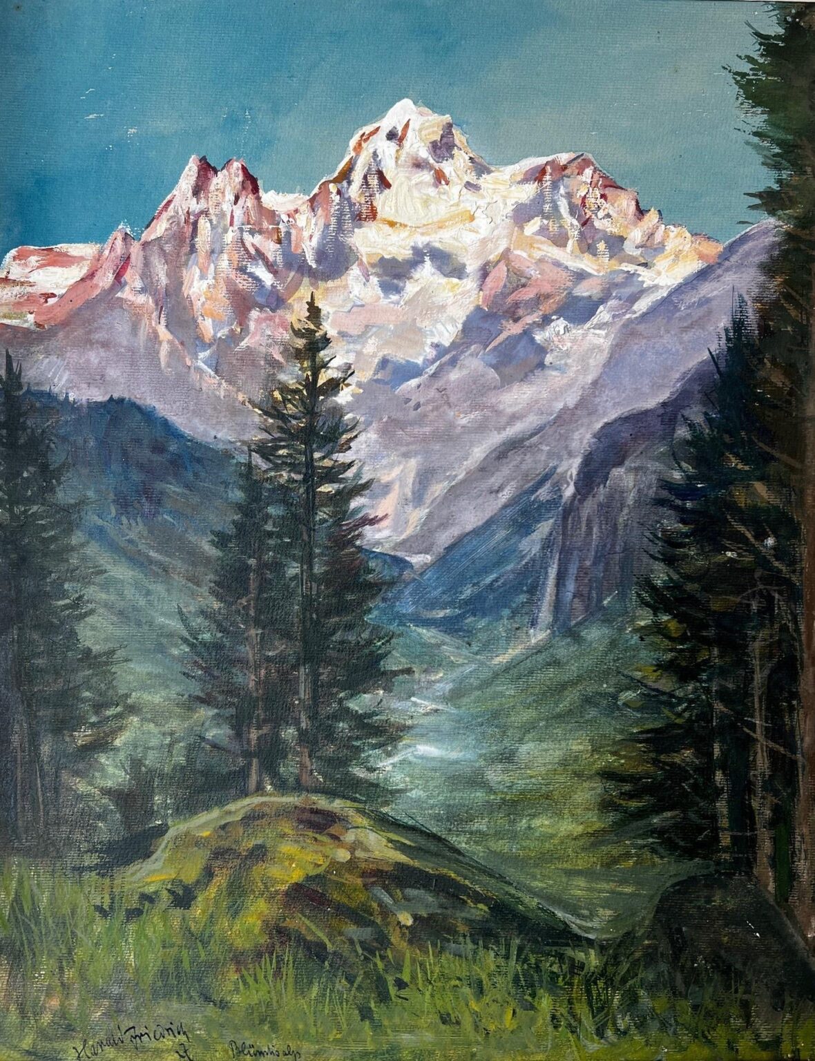 Bl&uuml;emlisalp - Harald Friedrich 