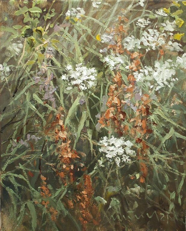 Wilde Möhre und Sauerampfer - Mathias Meinel 