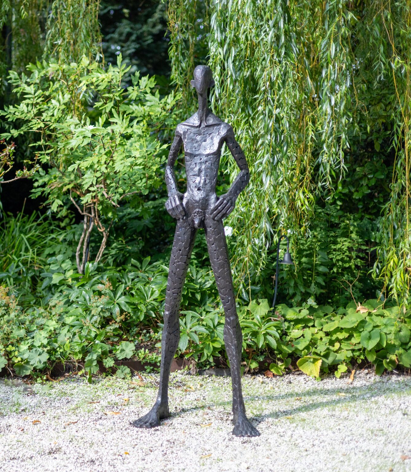 Ich bin hier - Hannes Helmke 