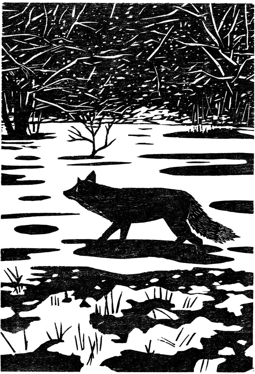 Der Winter dauert 24 Jahre - Franziska Neubert 