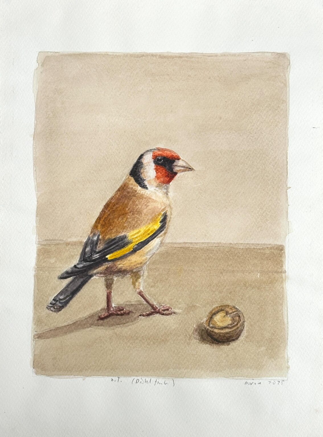 o.T. (Distelfink) - Jan Dörre 