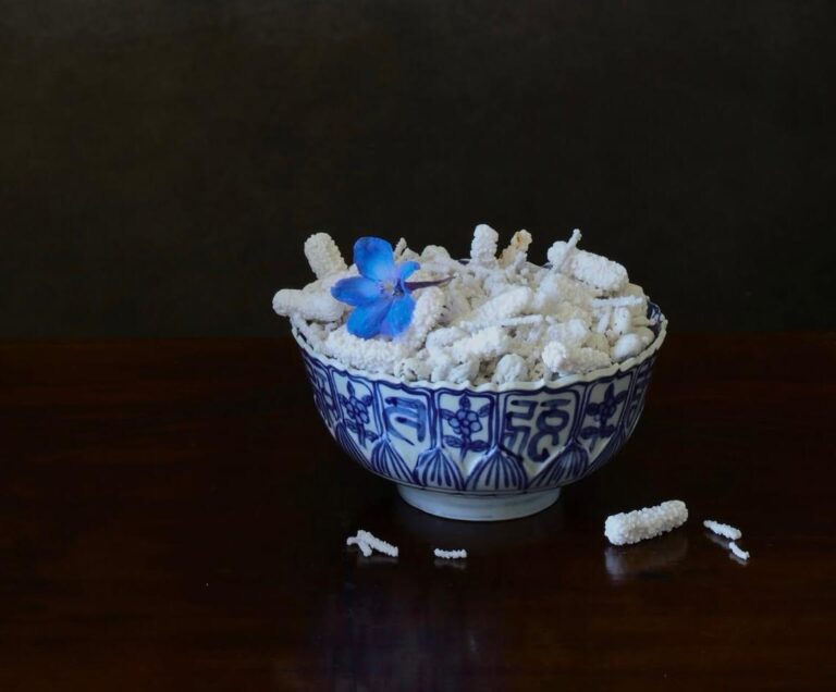 Candy - Elizabeth Joan Clarke 