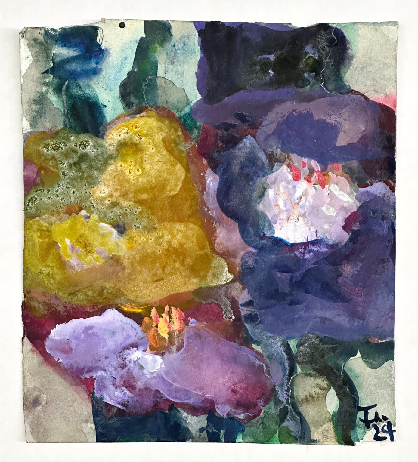 Anemonen - Klaus Fu&szlig;mann 