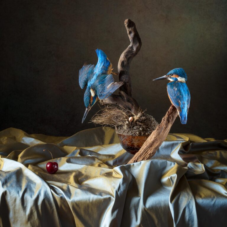 Elizabeth Joan Clarke 