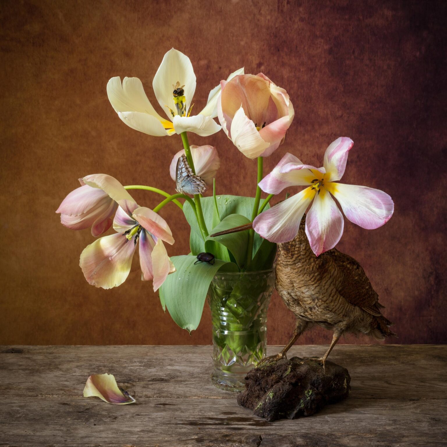 The Snipe - Elizabeth Joan Clarke 